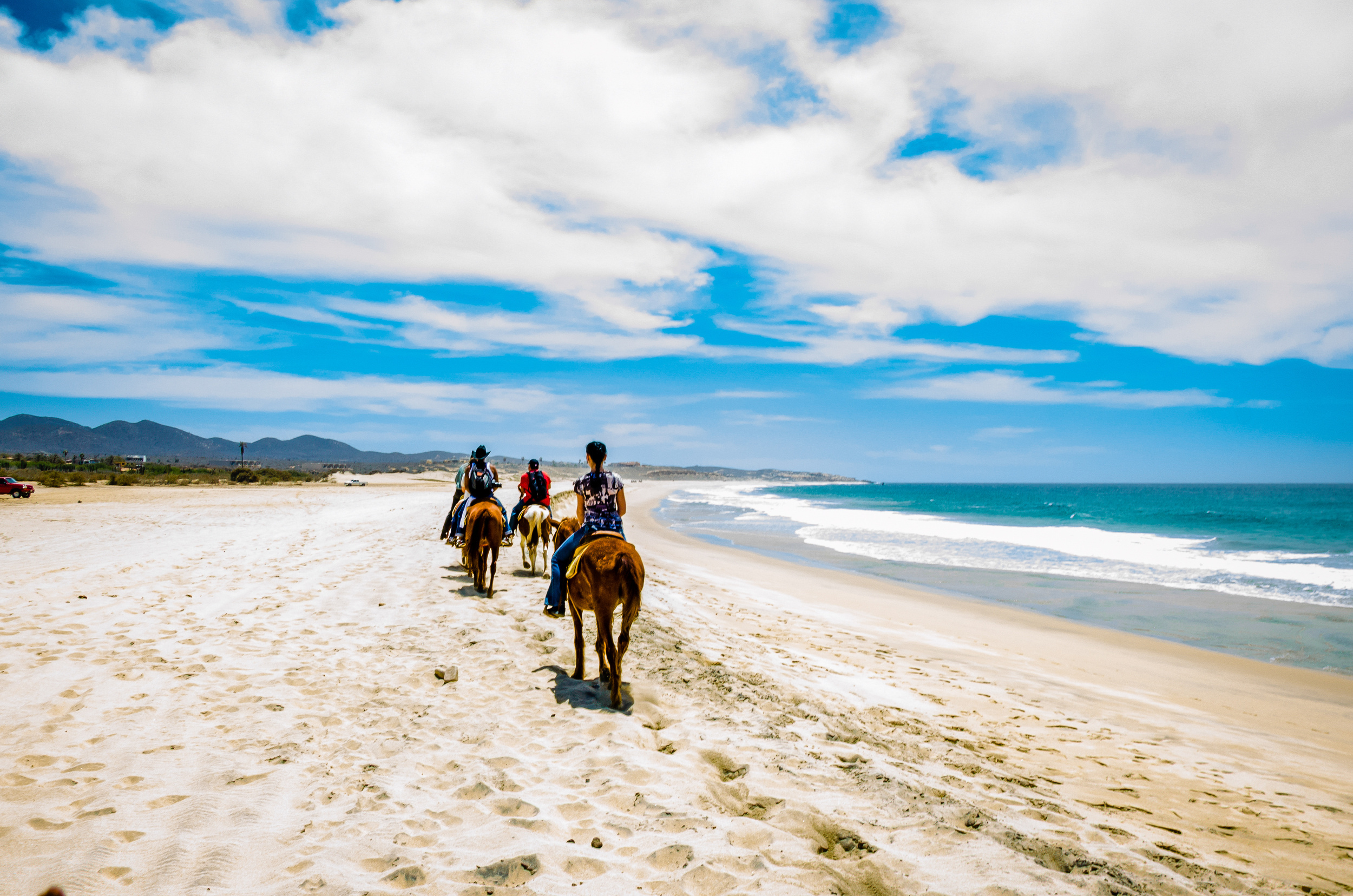 <p>The Baja Peninsula is the stuff of vacation dreams, with long sandy stretches against the vibrant blue ocean. However, if you’ve tired of sunbathing or swimming, there’s nothing more fun than a canter along the beach, and plenty of outfits welcome tourists in Baja.</p><p>You may also like: <a href='https://www.yardbarker.com/lifestyle/articles/20_foolproof_crockpot_dump_recipes_you_can_try_121923/s1__39117815'>20 foolproof crockpot dump recipes you can try</a></p>