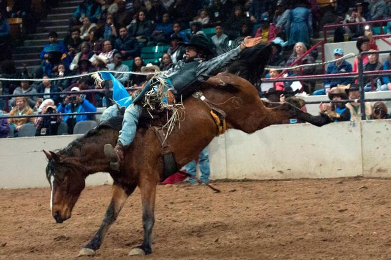 Denver’s National Western Stock Show announces 2025 event schedule