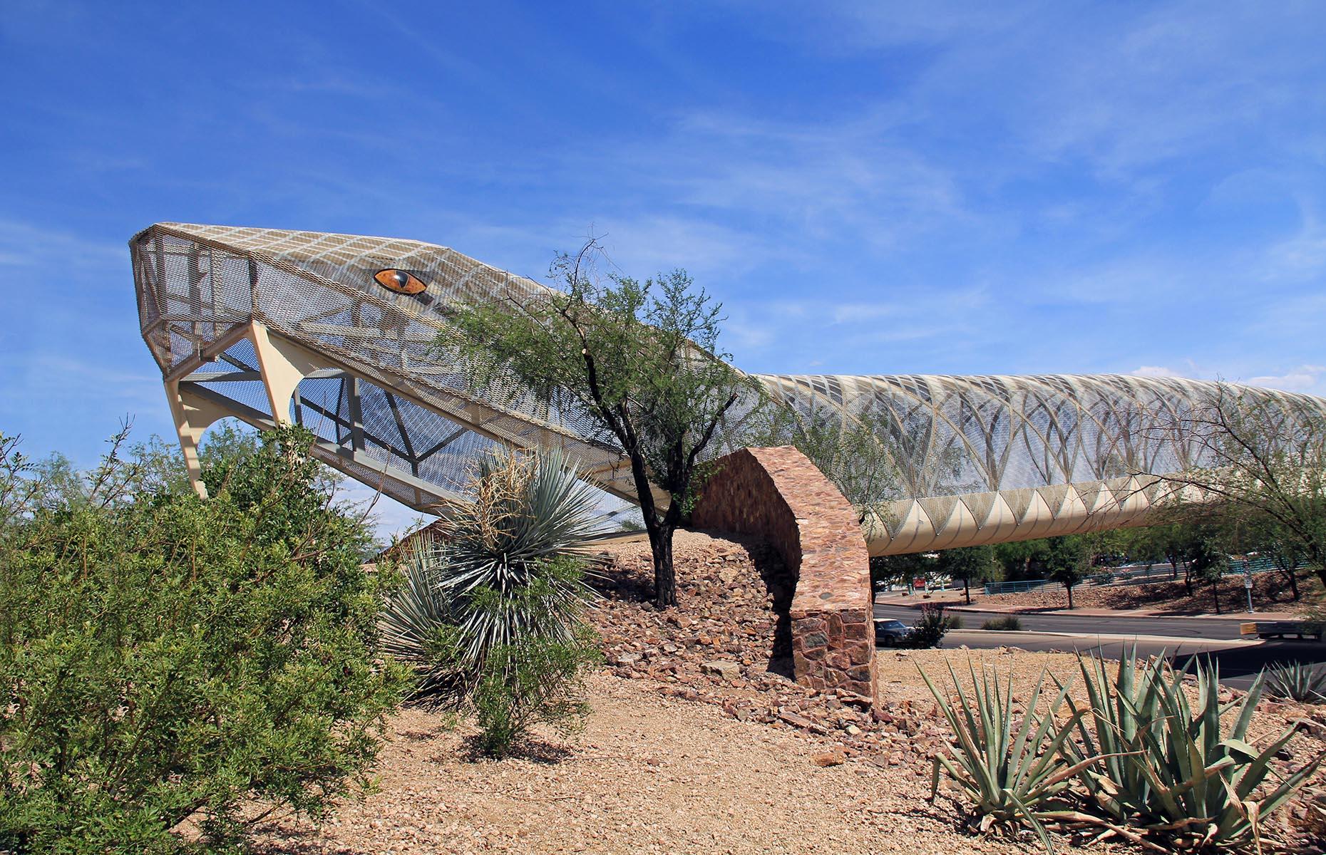 Unusual attraction. Tucson Arizona.