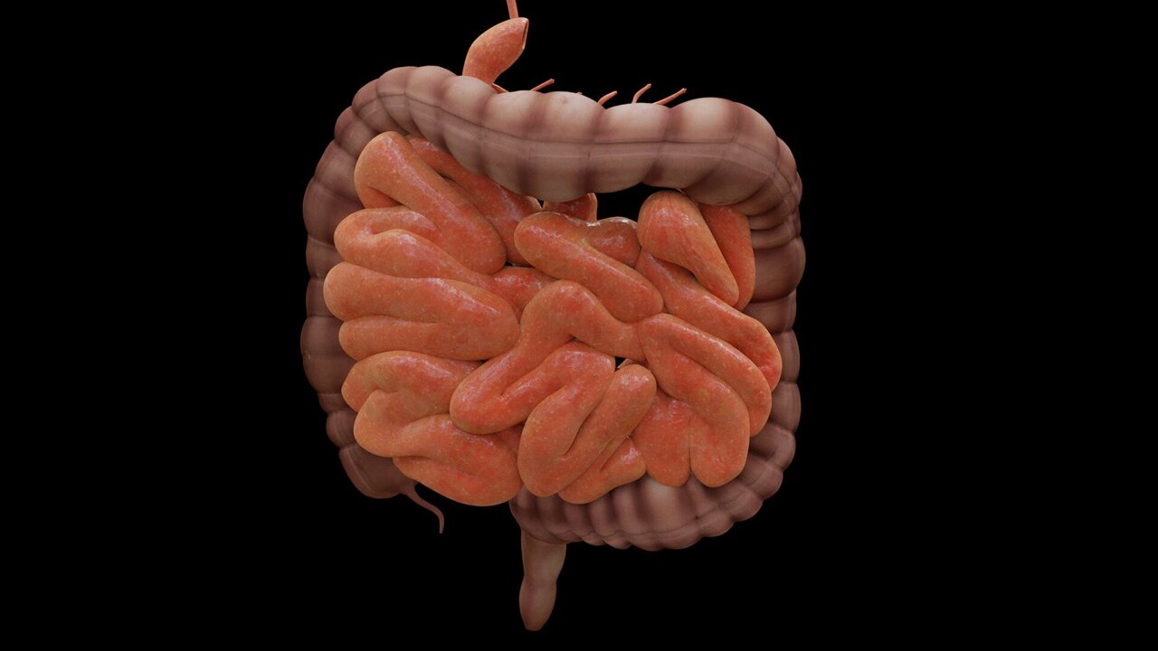 Immune changes emerge up to 10 years before inflammatory bowel disease diagnosis