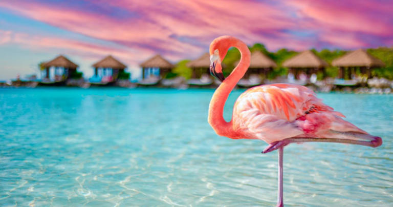 10 Reasons Why Aruba Is The Perfect Destination For First Time International Travelers