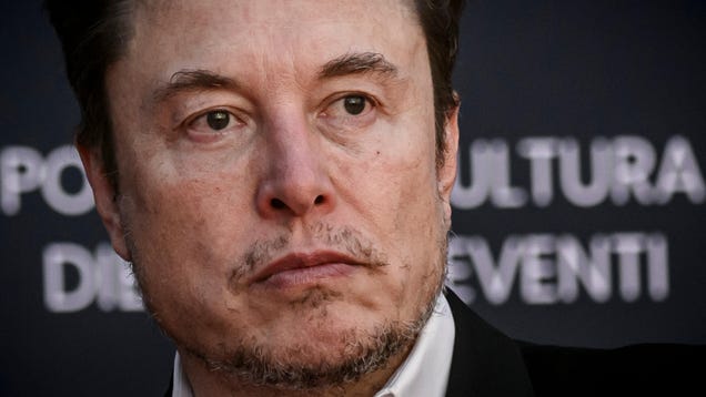 Elon Musk provoca la ira del Tesla Hoe