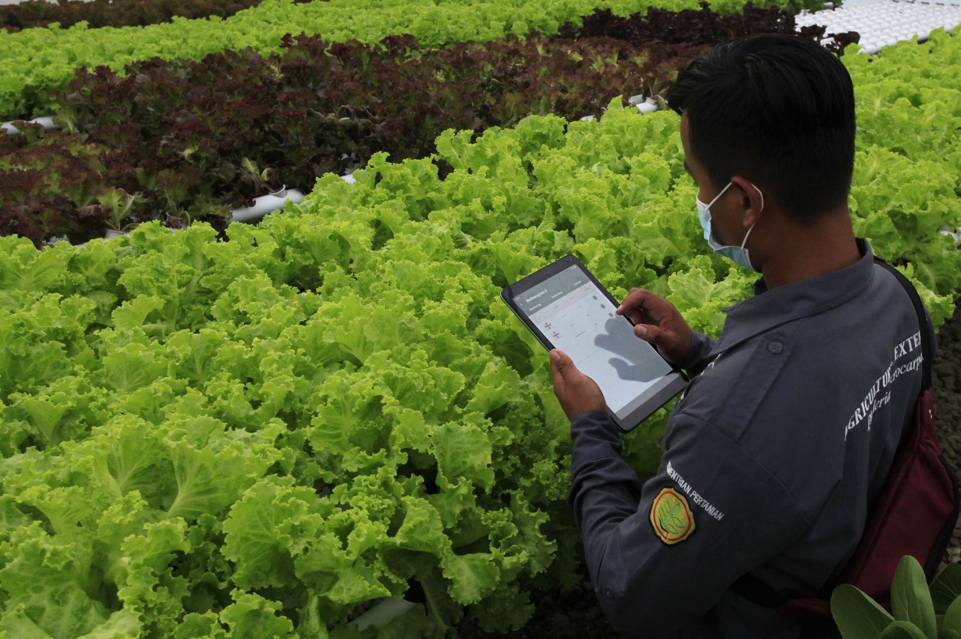 Agriculture