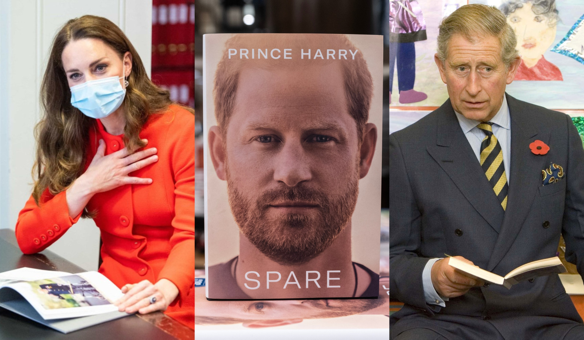 Brilliant Books Written By The Royals