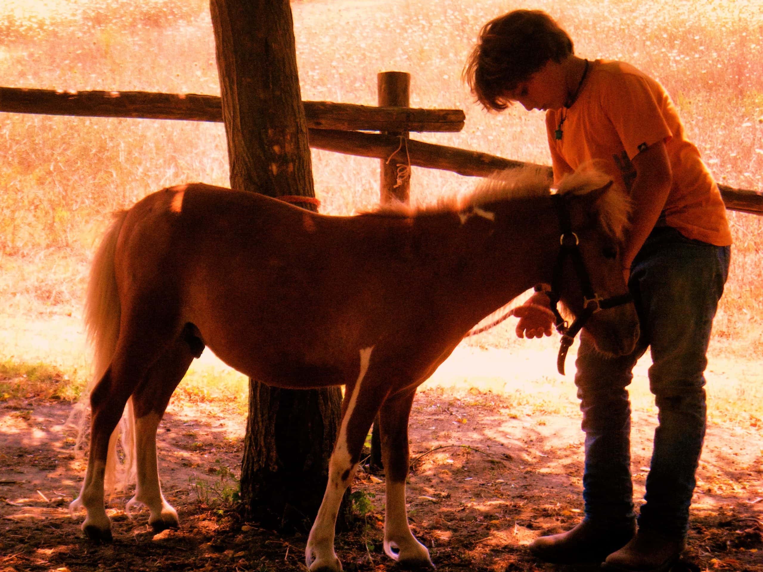 <p>In the novel <em>The Horse and His Boy</em>, two of the main characters are twins named Cor and Corin. Cor is associated with horses, while Corin is well-known for his affiliation with boxing. These twins are a clear reference to the mythological heroes Castor and Polydeuces—also known as Pollux to the Romans. These two twins were eventually honored by the gods by becoming constellations in the sky as Gemini.</p>