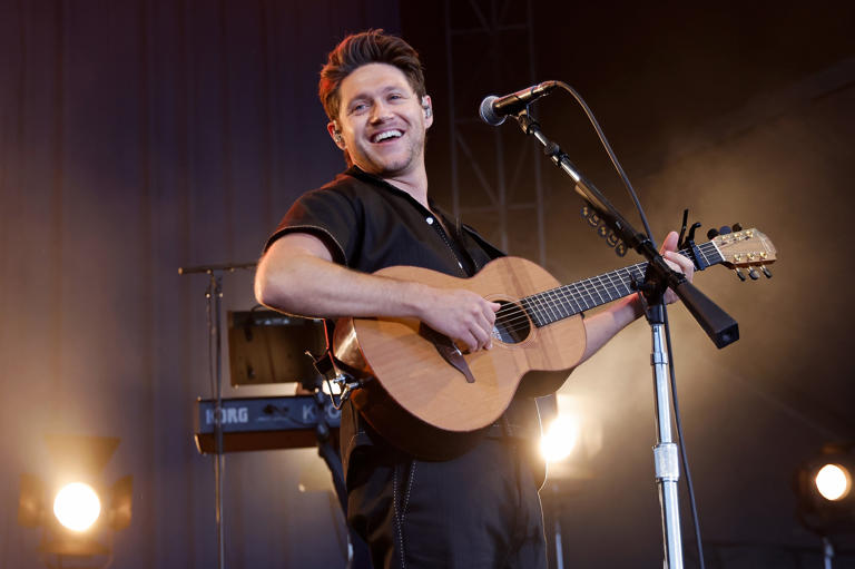 Niall Horan Taylor Hill/Getty Images