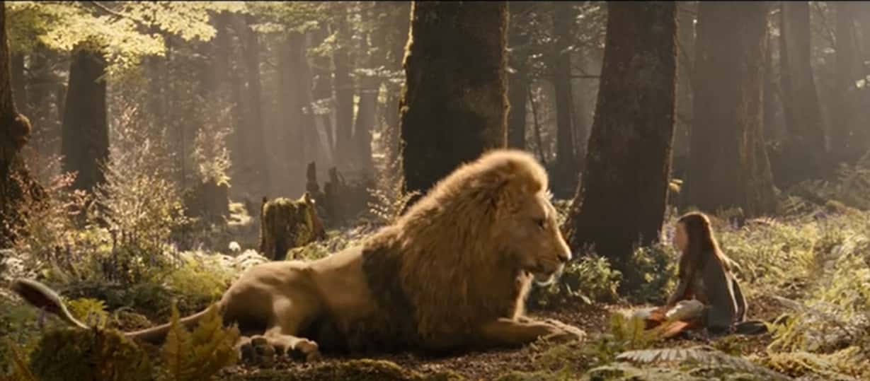 <p>Narnia got its name from the town of Narnis, in Italy. Aslan, meanwhile, comes from the Turkish word for ‘lion.’</p>