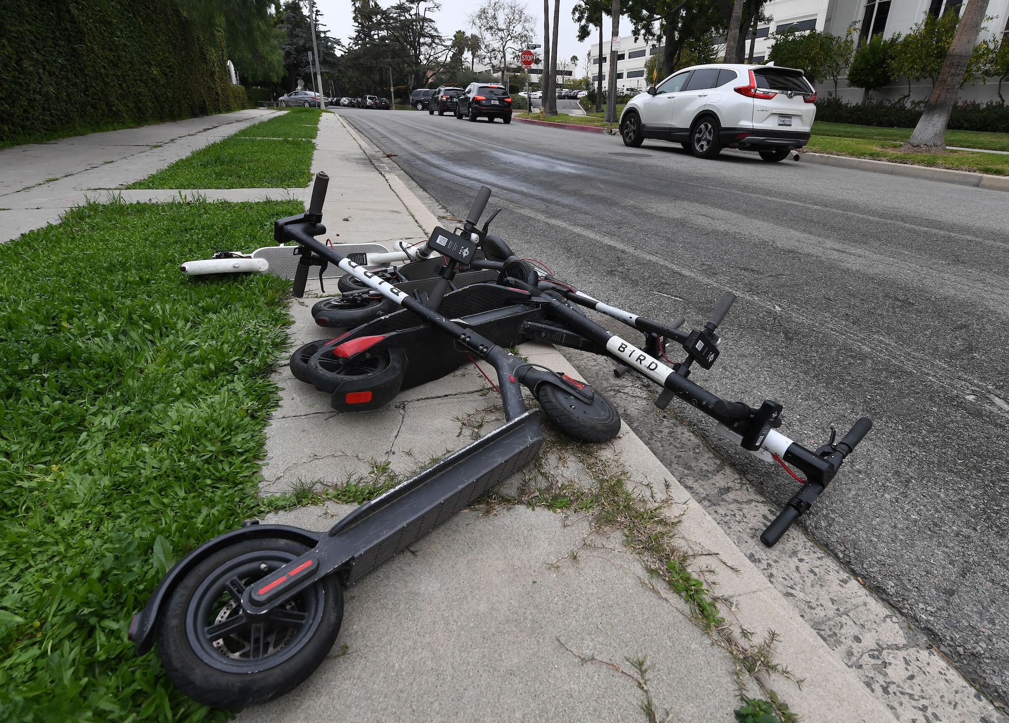 amazon, e-scooter pioneer bird files for bankruptcy after littering sidewalks around the world with its electric scooters