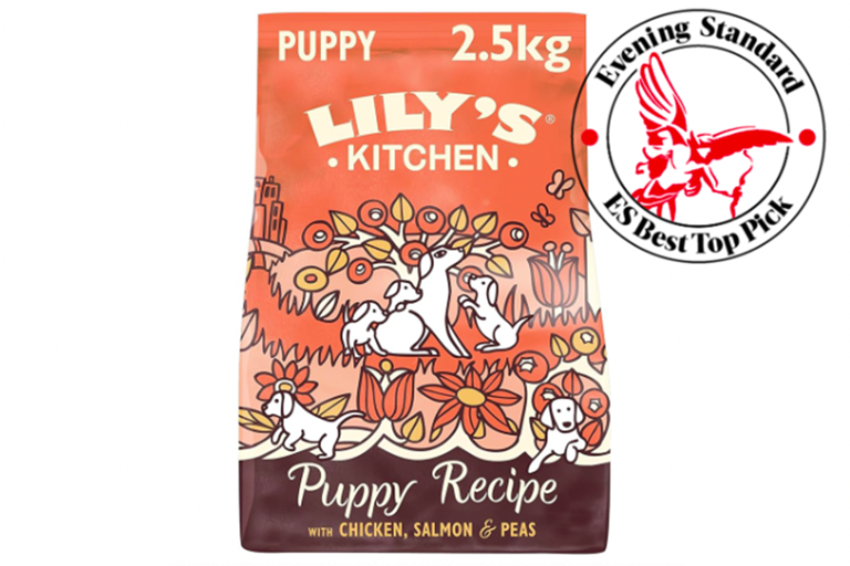 Best puppy foods that small, hungry hounds will love