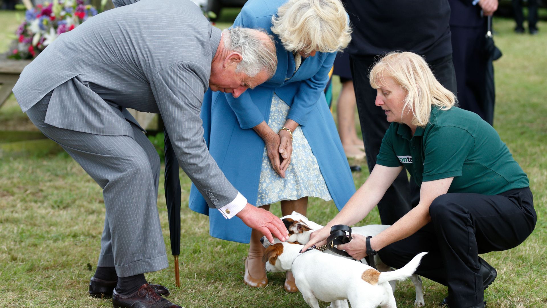 <p>                     King Charles certainly takes after his mother's love of dogs, with Queen Elizabeth II having over 30 dog companions over her reign. Charles and Camilla have two adorable Jack Russell Terrier crosses, their names are Beth and Bluebell, Camilla has adopted both dogs from Battersea Dogs and Cats Home, a charity she works closely with.                   </p>