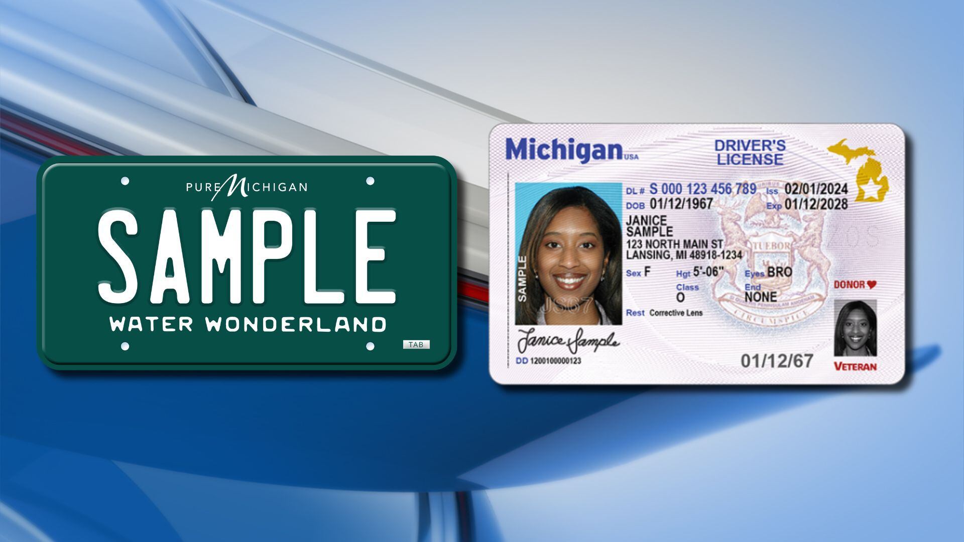 Green And White License Plate Returning New Driver S Licenses And IDs   AA1lOgvw.img