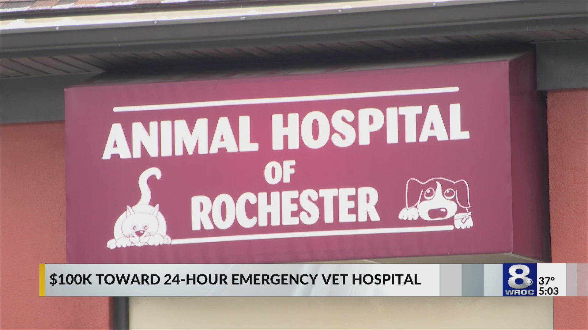 New Funds Announced For Overnight Emergency Veterinary Services   AA1lOqKY.img