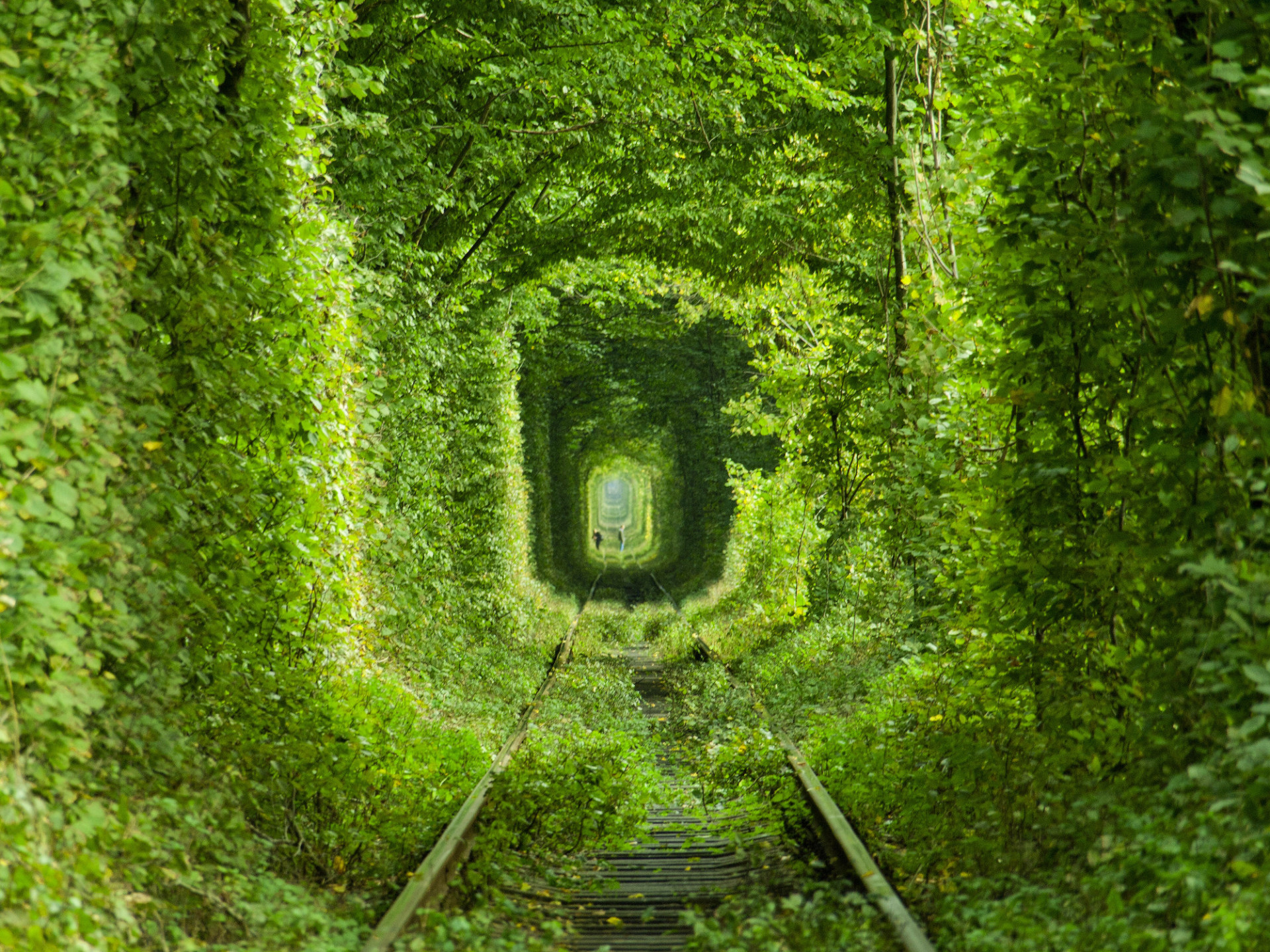 Tunnel of Love (Oekra&iuml;ne)