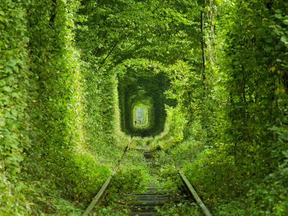 Tunnel of Love (Oekraïne)
