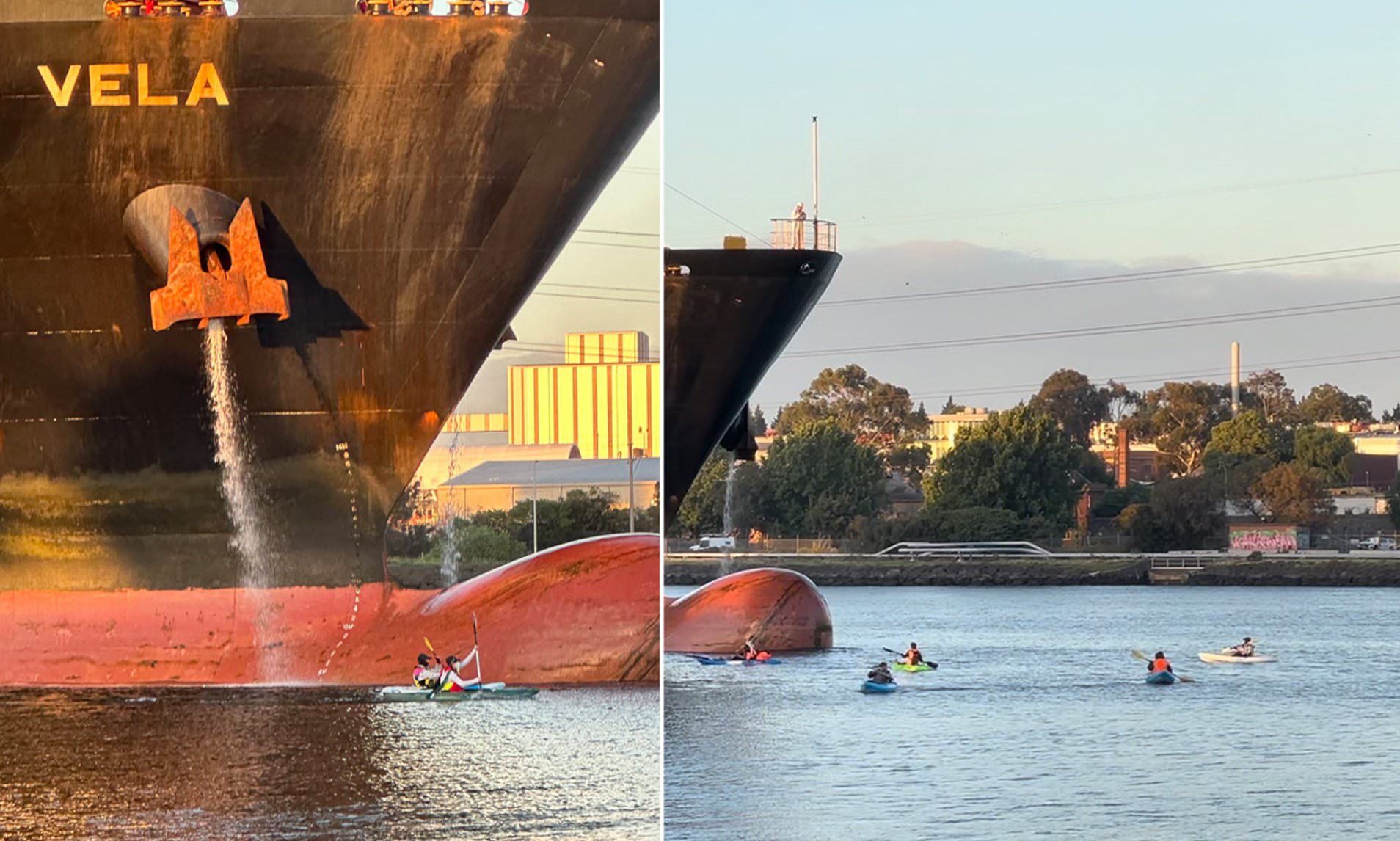 Defiant Moment Cargo Ship Linked To Israel Ignores Palestinian ...