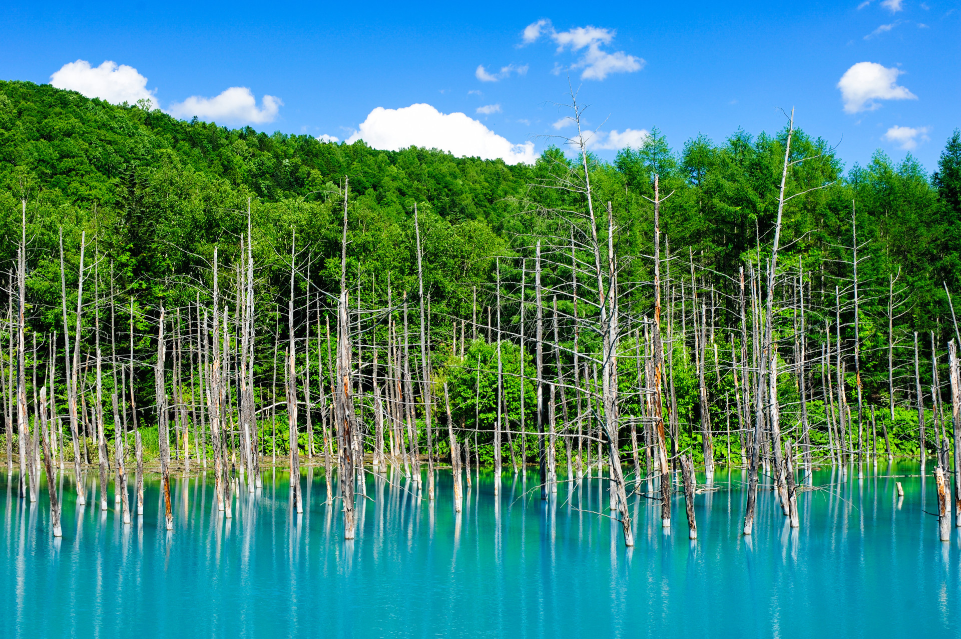Blue Pond (Japan)
