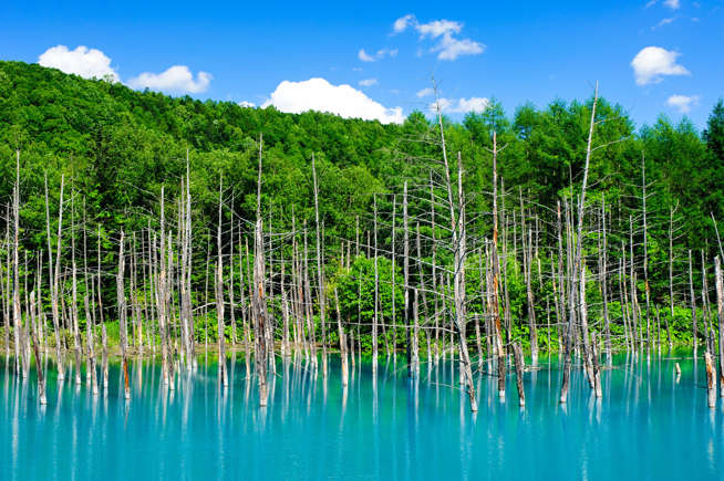 Blue Pond (Japan)