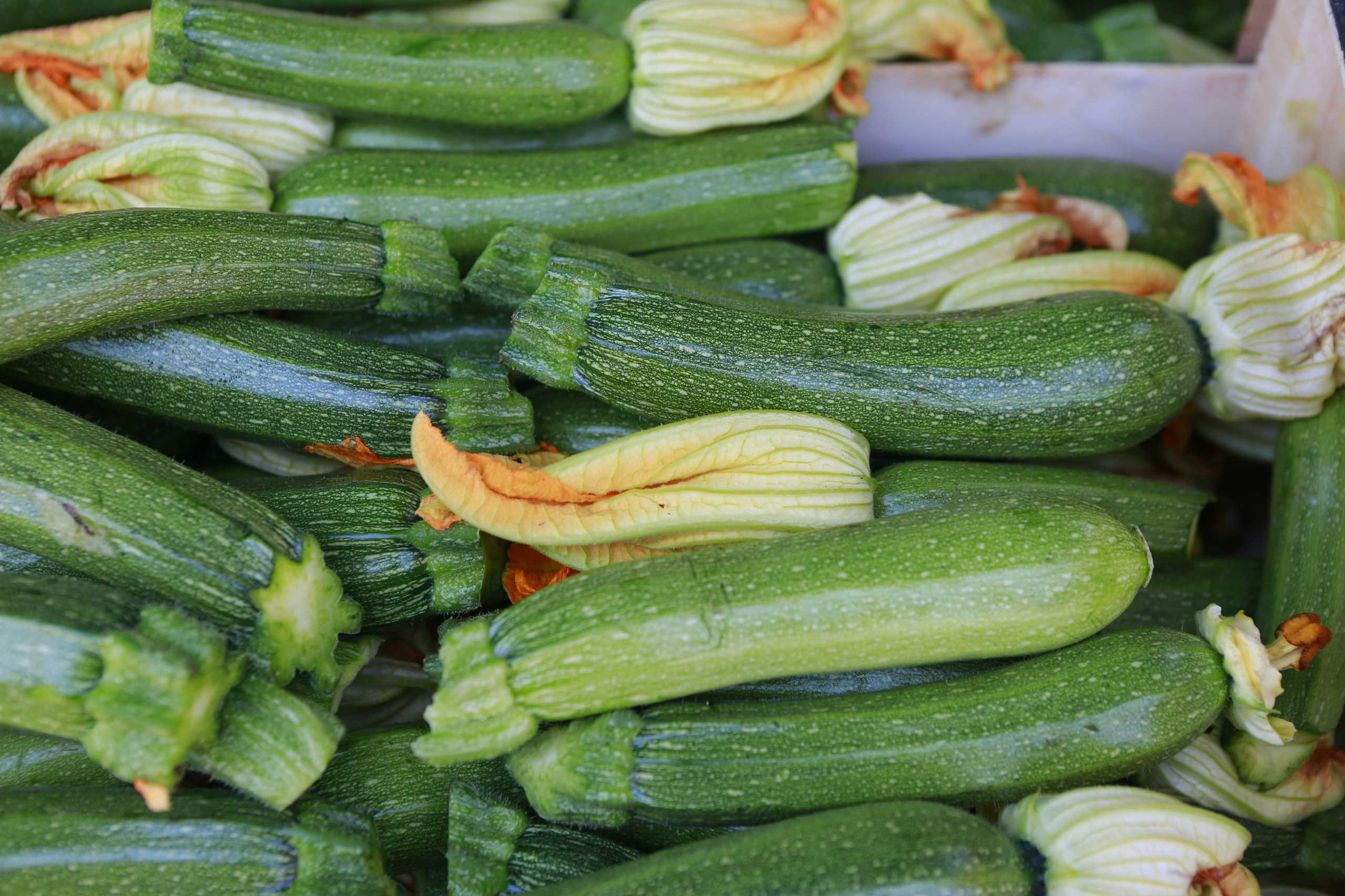 microsoft, ist zucchini gut für die gesundheit? eine bewertung durch ernährungsexperten