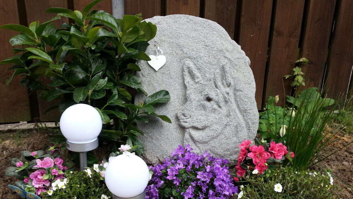 Die letzte Ruhestätte Darf man den Hund im Garten begraben?