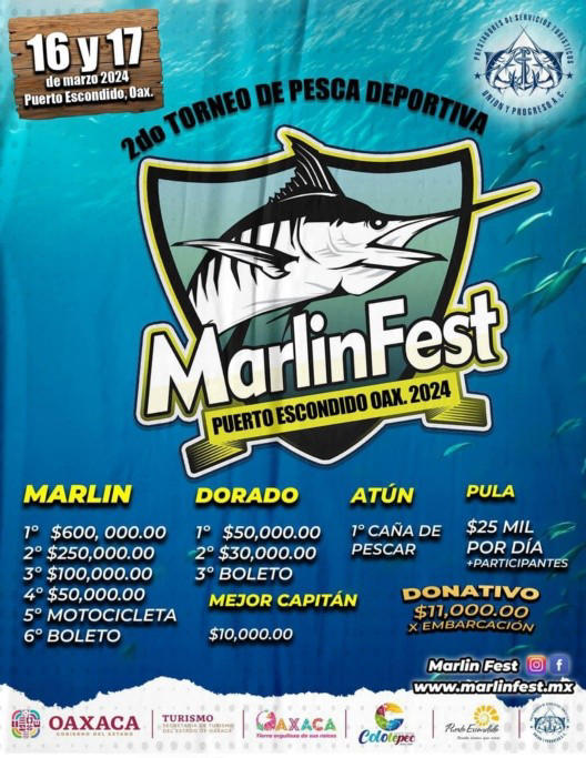 Marlin Fest 2025 Qld Raven Brittan