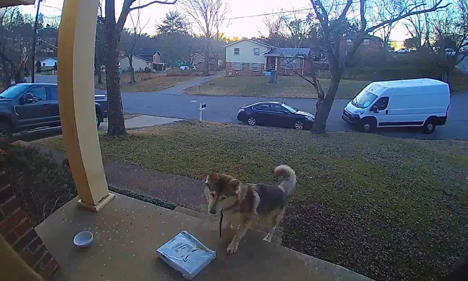 Moment Very Unlikely Porch Pirate In Nashville Steals Family's Package ...