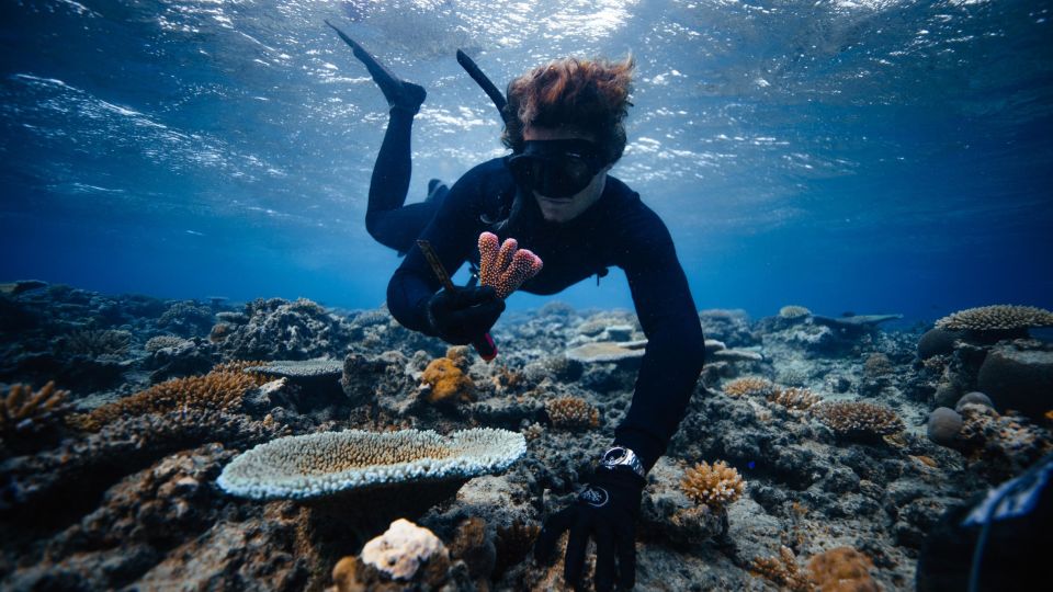 With A Little Help From ‘Aquaman,’ This Conservationist Is On A Mission ...