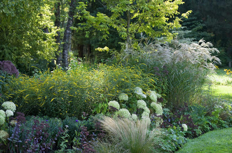 The best ornamental grasses for your garden