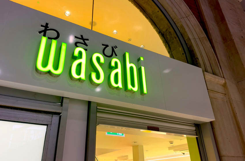 Wasabi provides a big brain boost for older adults, study finds