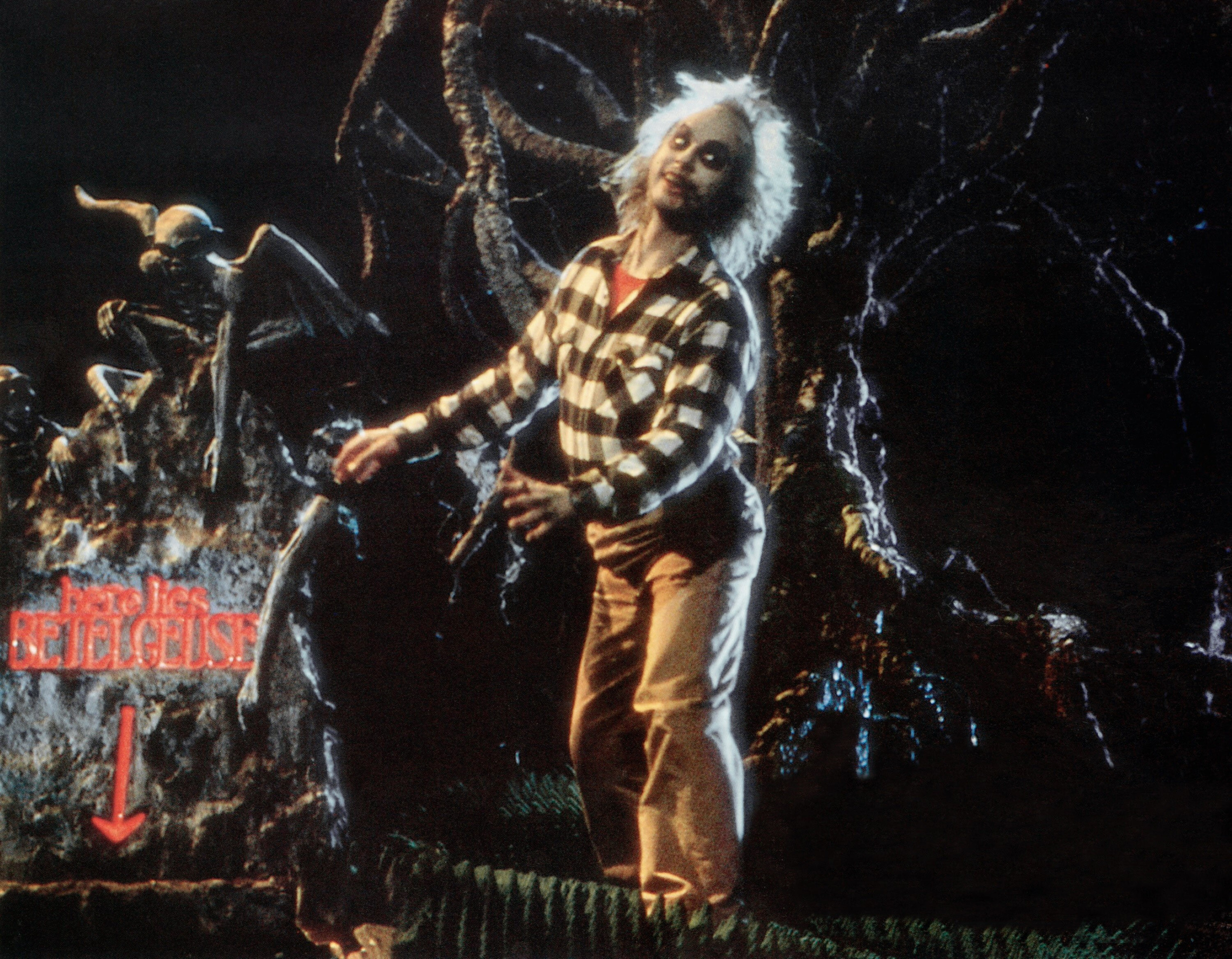 20 Facts You Might Not Know About 'beetlejuice'