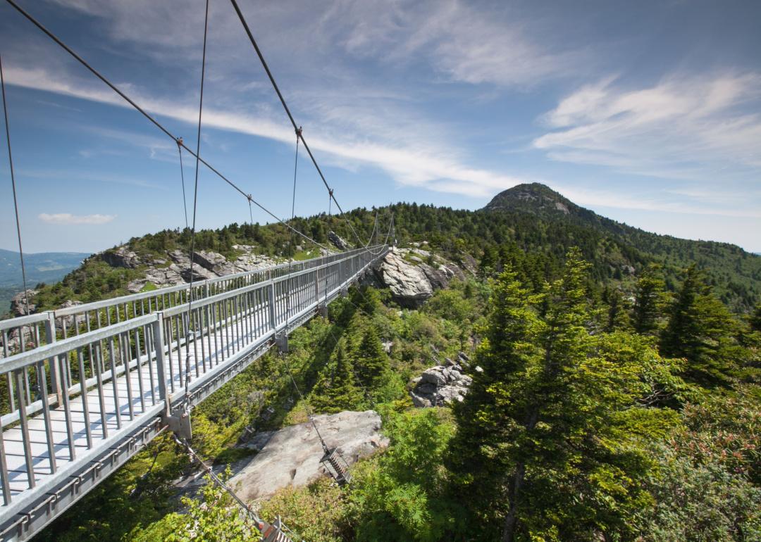 <p>Brave the heights of Grandfather Mountain's <a href="https://grandfather.com/swinging-bridge/">Mile High Swinging Bridge</a>, a 228-foot suspension bridge that spans an 80-foot chasm and provides breathtaking 360-degree views of the surrounding North Carolina mountains. While you're in town, you can also enjoy nearby hiking trails and wildlife habitats at the <a href="https://grandfather.com/wilson-center/">Wilson Center for Nature Discovery</a>.</p>