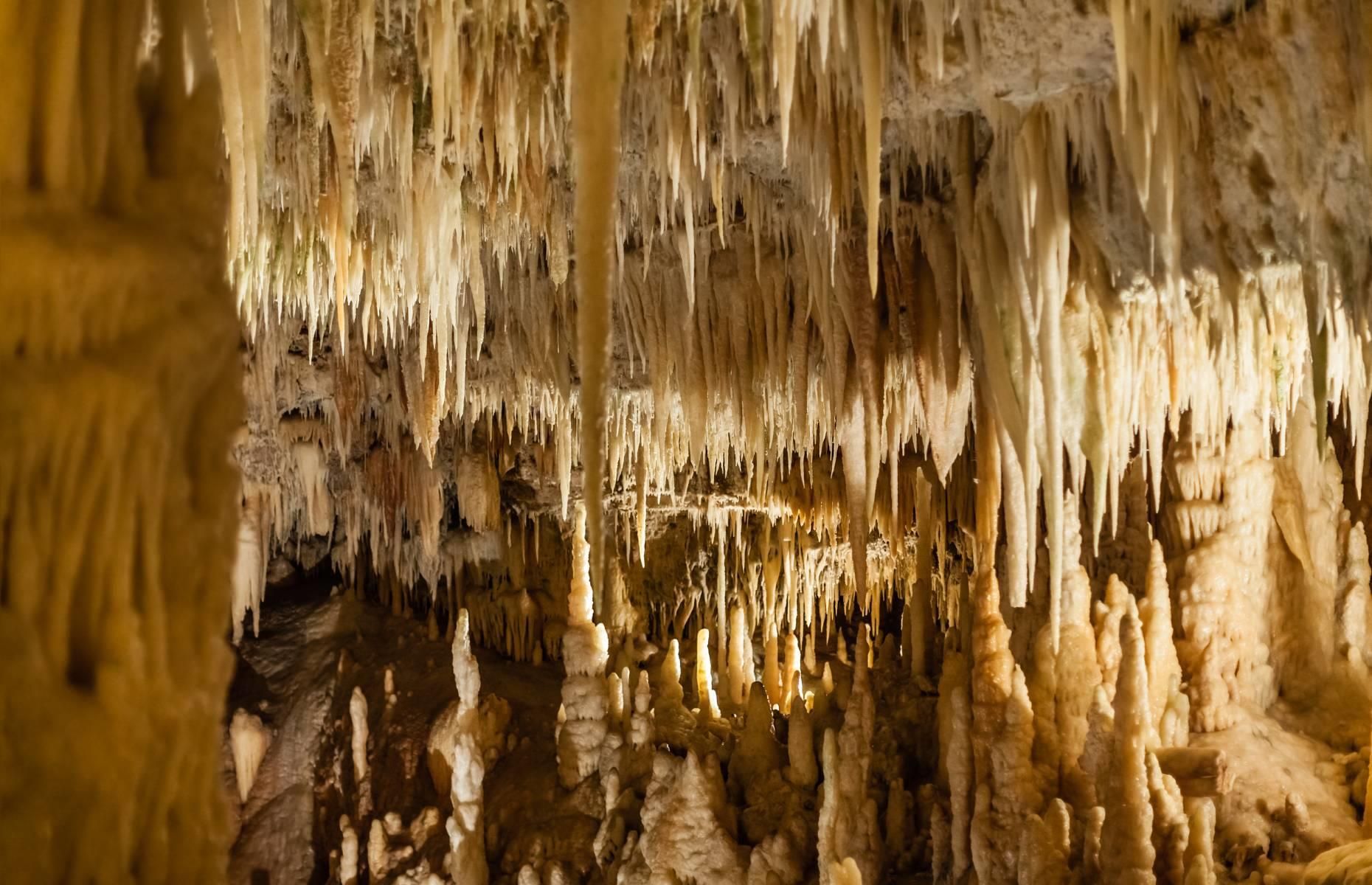 <p>Just outside the town of Castellana Grotte is a huge underground system of karst caves that reaches as deep as 400 feet (122m), though tours only reach as far as roughly 230 feet (70m). A cool 16ºC (61ºF) year-round, the series of large underground limestone caverns and their extraordinary stalactite and stalagmite formations were discovered in 1938.</p>