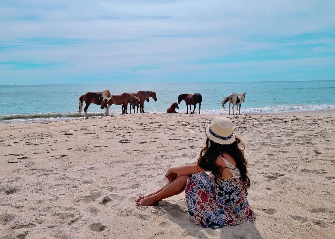 <p>The 37-mile-long barrier island, Assateague Island straddles both Maryland and Virginia. Although it's arguably best known for its <a href="https://www.nps.gov/asis/learn/nature/horses.htm">wild horse population</a>, the spot is a true nature lover's oasis, and <a href="https://www.nps.gov/asis/index.htm">visitors</a> can often spot bottlenose dolphins, endangered peregrine falcons, and over 200 additional species of birds.</p>