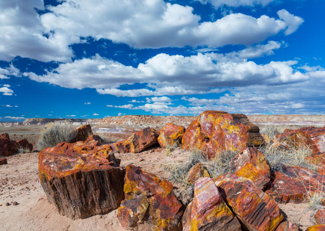 <p>Known as the "Rainbow Forest," Arizona's <a href="https://www.nps.gov/pefo/index.htm">Petrified Forest National Park</a> is full of colorful petrified wood fossilized over 200 million years ago. Preserved in time, the site is home to a whopping 600 archaeological sites.</p>