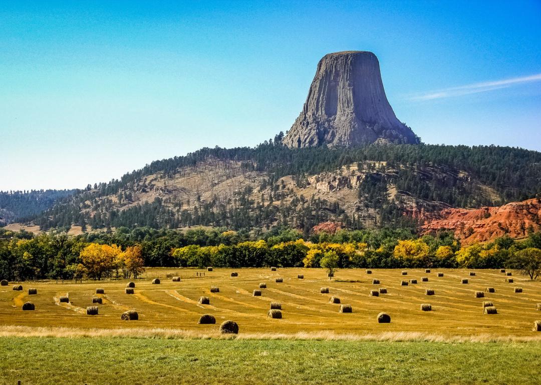 <p>Fun fact: The first official United States National Monument was a strange geological monolith in Wyoming known as <a href="https://www.nps.gov/deto/">Devils Tower</a>. Based in the Black Hills, the rock structure is considered sacred by Northern Plains Indigenous groups and is quite a sight to behold.</p>