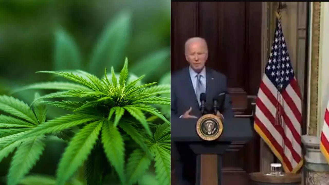 Joe Biden Cannabis Pardon: Before US, Countries That Worked Expungement ...