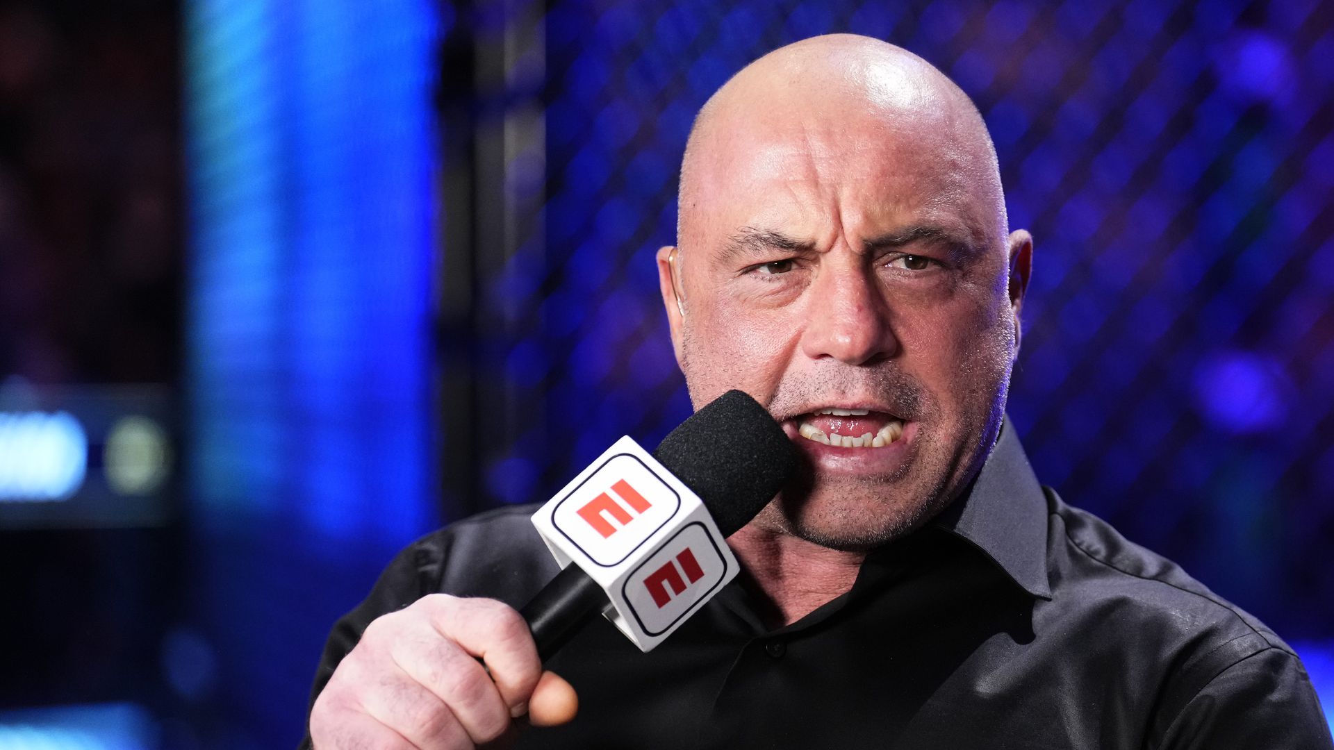 joe rogan warns fighters outside ufc that they are often ‘wasting their career’: ‘no one’s watching’