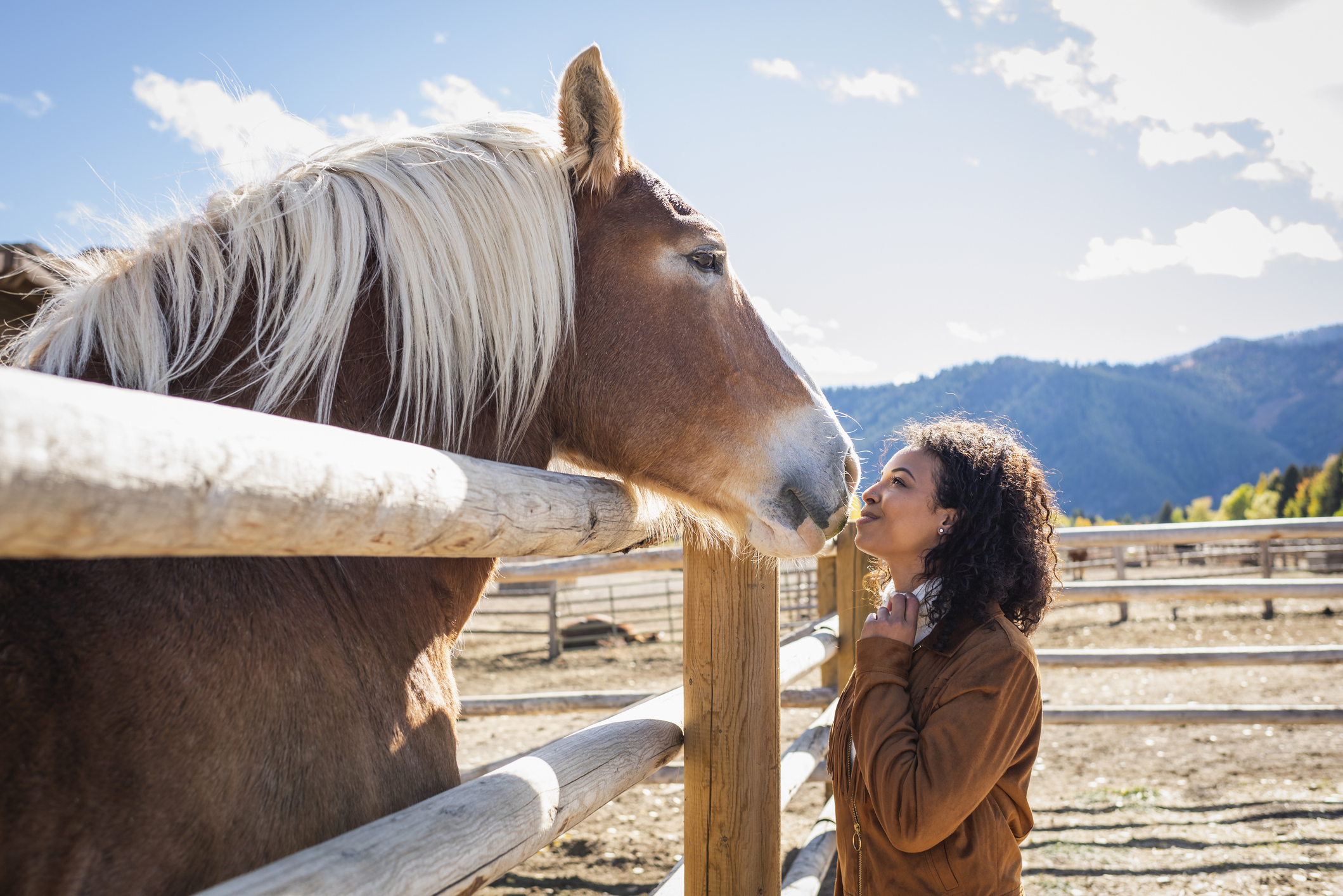 12 Things Your Horse Ferrier Wants You To Know