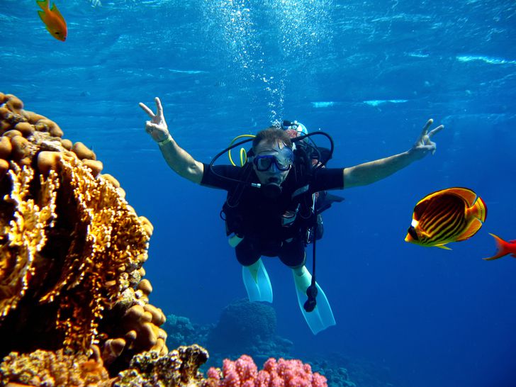 Need A New Goal For 2024 Here S How To Get Into Scuba Diving   AA1lVu8A.img