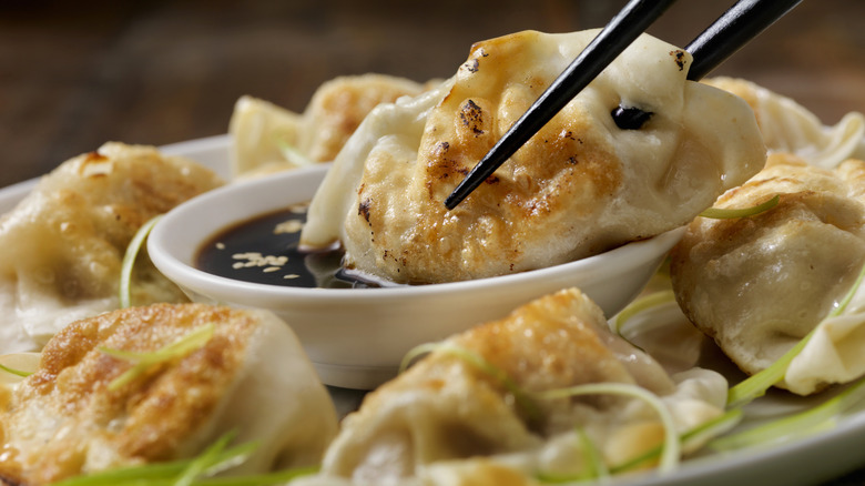 The Absolute Best Way To Cook Dumplings From Frozen