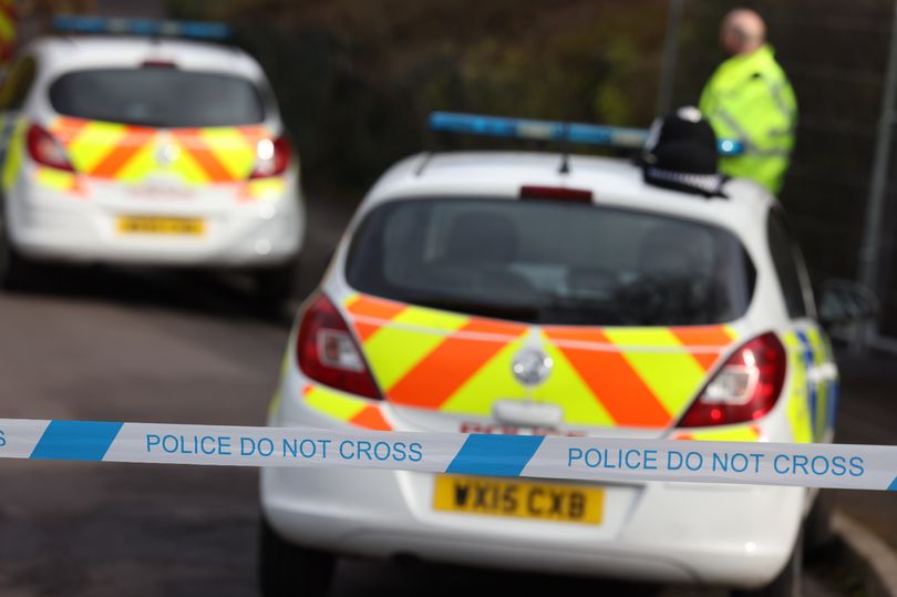 Woman And Two Dogs Die After Hit And Run Crash In Chigwell