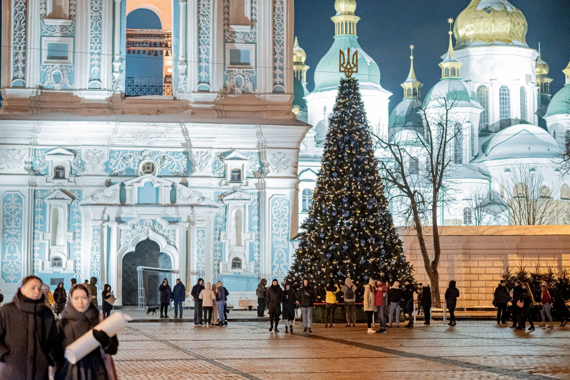 Impressive Christmas Trees From Around The World