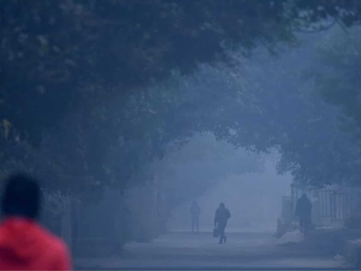 India: Delhi Wakes Up To A Foggy Christmas Morning And Chilly Weather