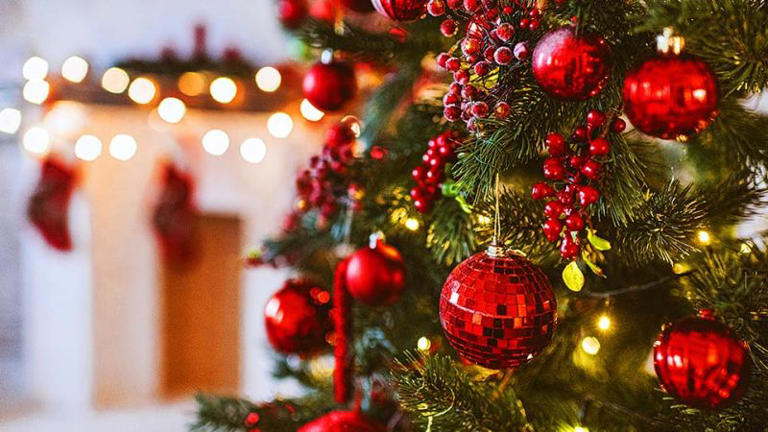 How to keep your Christmas tree up longer without catching fire
