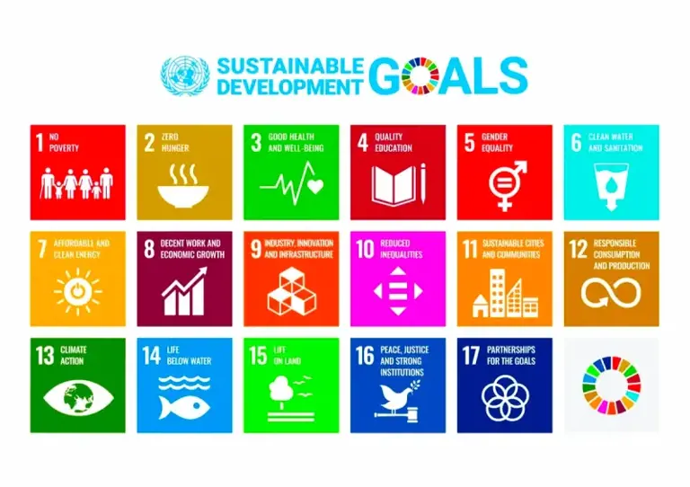 ▲SDGs 永續發展目標。（圖／THE 17 GOALS | Sustainable Development）