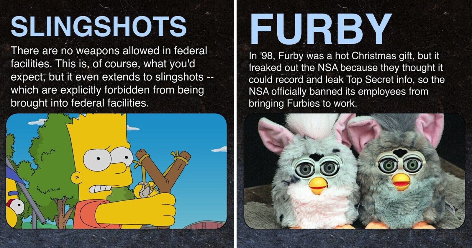 14 Harmless Things That The US Government Absolutely Freaked Out About