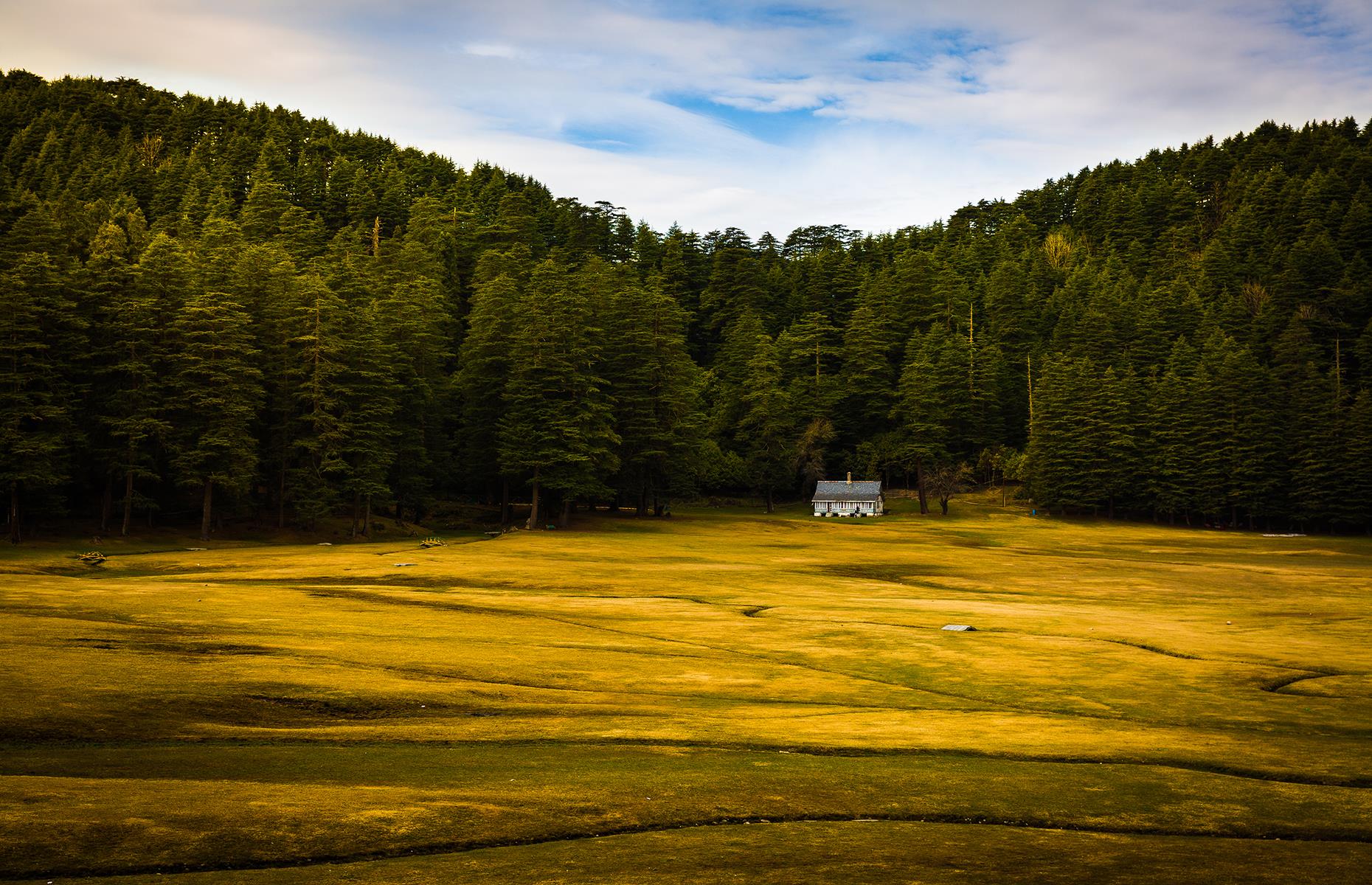 <p>This scene looks more reminiscent of the forests of Alpine Europe or even Scotland, but it is indeed India. Khajjiar is a small meadow in the Chamba Valley, surrounded by lush deodar forests and regularly cited as India's "mini Switzerland" thanks to its lakes, mountains, and prairies.</p>  <p>A prime picnic spot, it's a gorgeous place to stop if you're hiking around Dalhousie in Himachal Pradesh.</p>