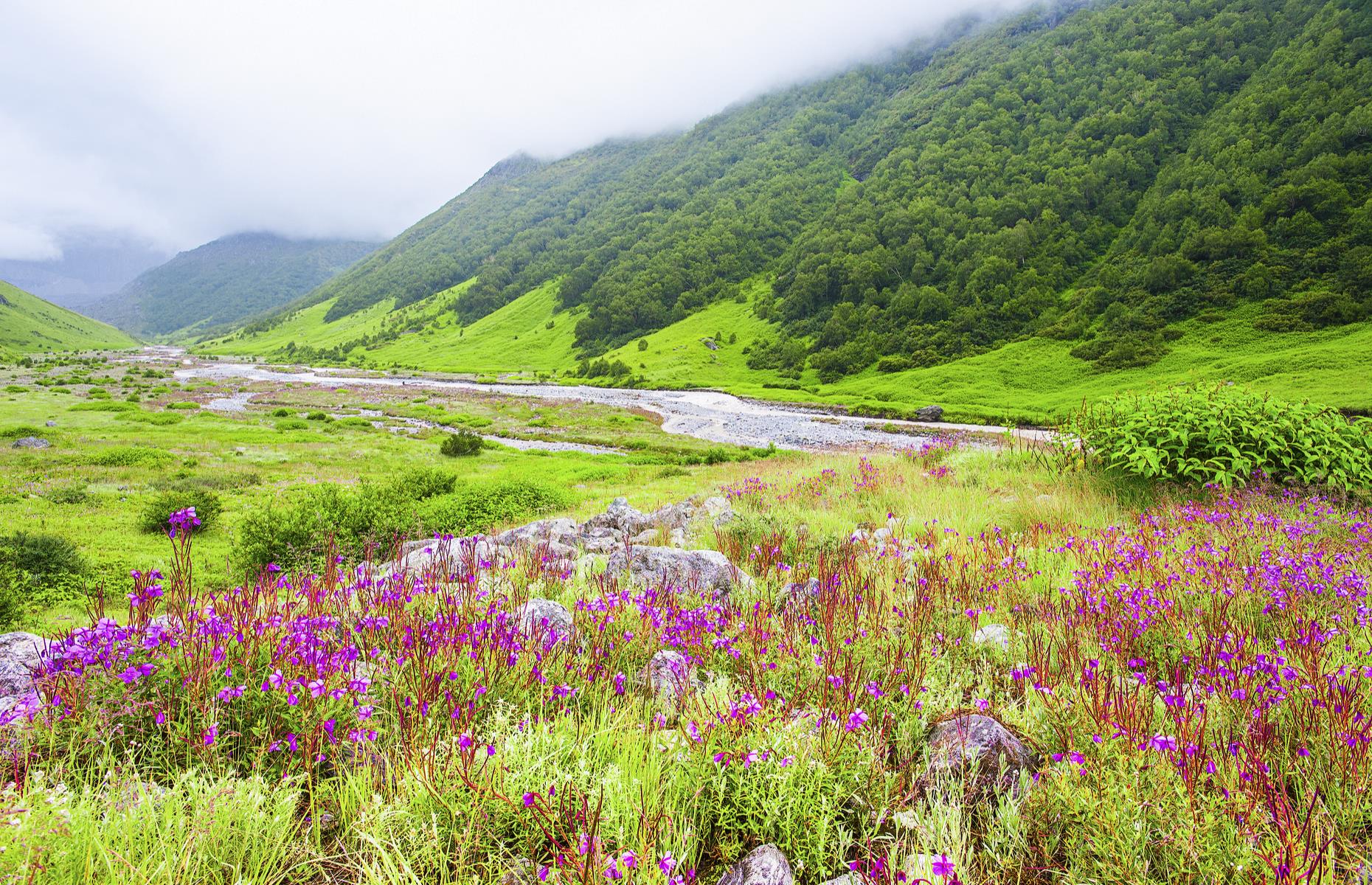 <p>Another enchanting valley awaits hikers at this national park in the western Himalayas. It's only accessible on a 12-mile trek from Govindghat but the explosion of color as you reach the wild-flower-strewn alpine meadows is worth the effort.</p>  <p>Roses, primulas, anemones, and all manner of blooms spring up from June to early October, but are at their most beautiful in July and August.</p>