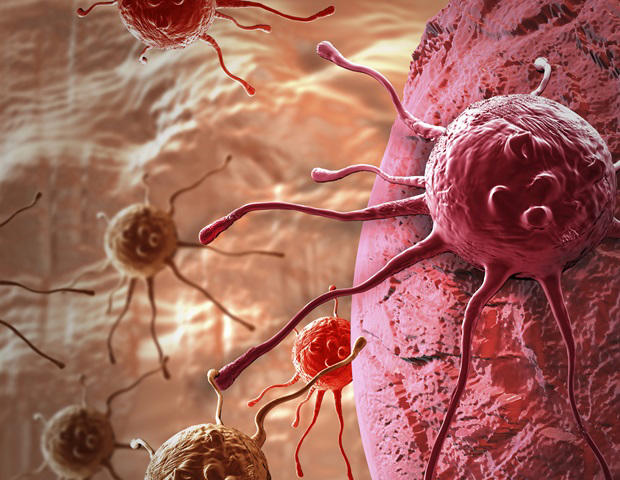 New analysis of cancer cells identifies 370 targets for smarter, personalized treatments