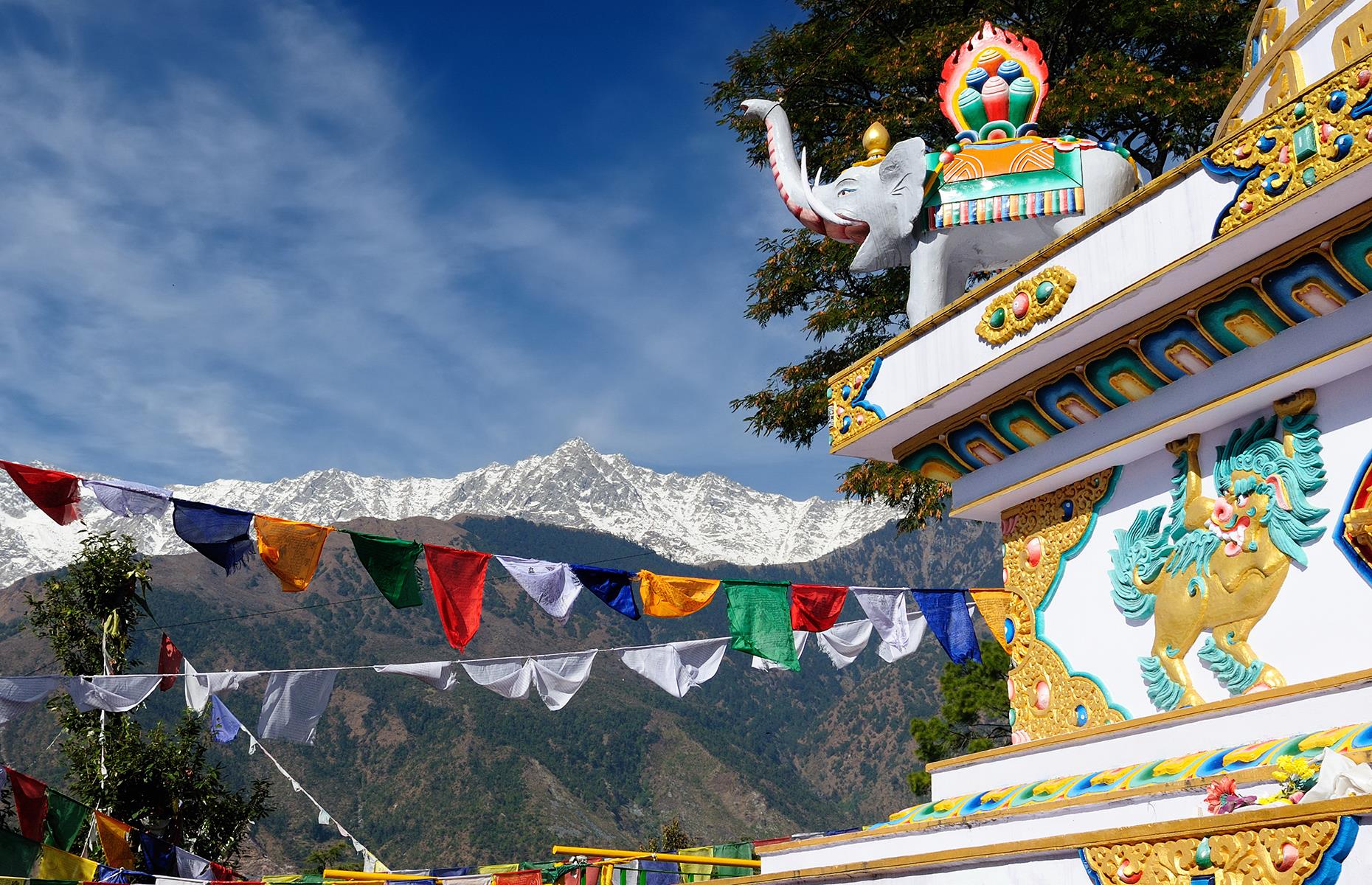 Surrounded by forested hills, this is the mountain home of the Dalai Lama and the exiled Tibetan government. Try trekking in the Dhauladhar mountains, take meditation and yoga classes here, or just mill about town soaking up the serenity of being surrounded by temples where red-robed monks and nuns reside.