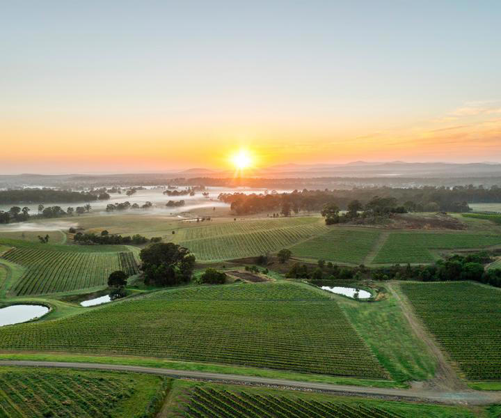 One of the oldest grape-growing regions in Australia, the Hunter Valley has more to offer than just its impressive selection of wine-tasting destinations.